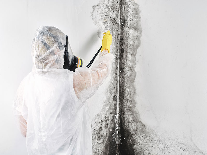 A demonstration of how to remediate mold damage in a residence.
