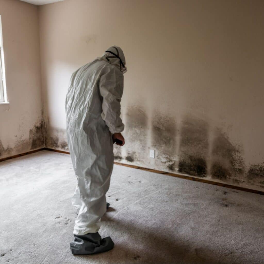 Mold growing in carpet caused by water damage inside a residential home